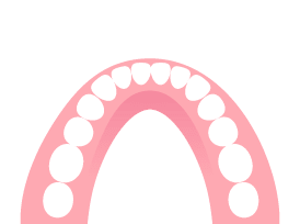 画像：義歯のイメージ